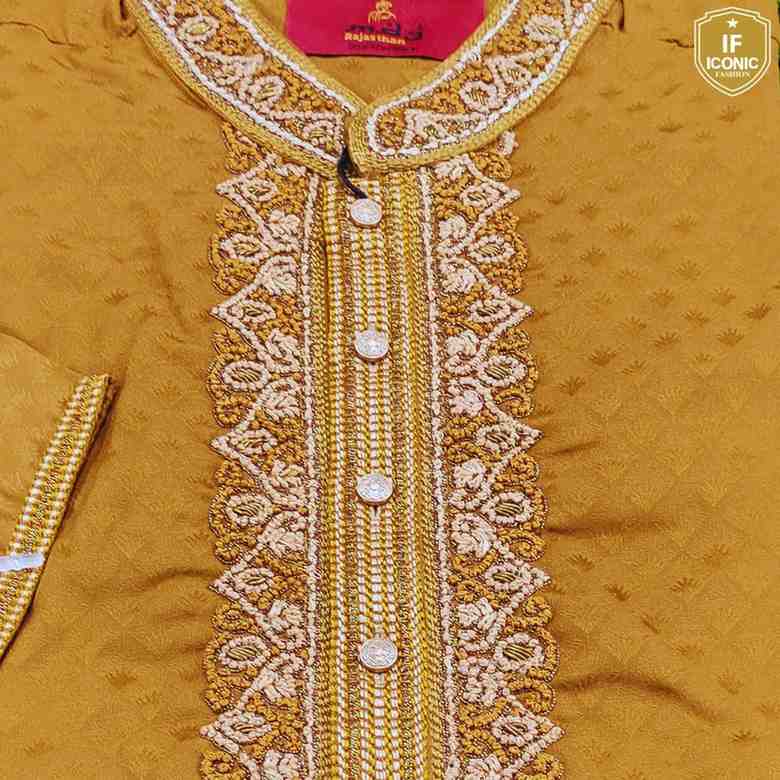 Men's Gujarati Katan Karchupi Panjabi backViewImage