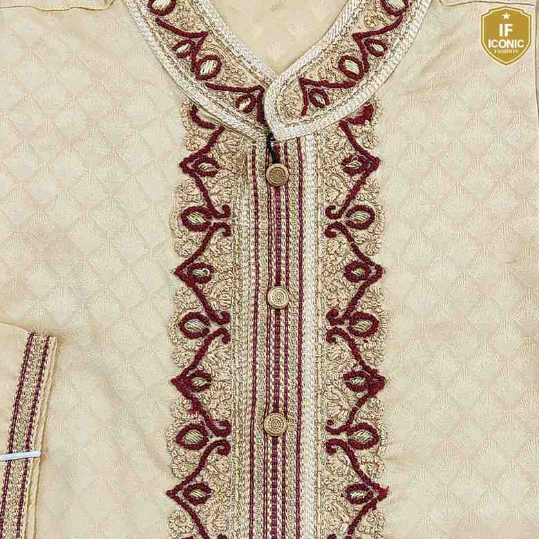 Indian Cotton Gujarati Katan Karchupi Panjabi backViewImage